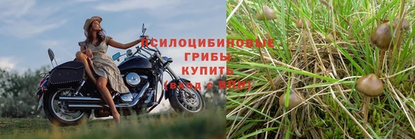 скорость mdpv Лихославль