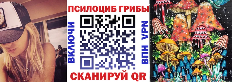 Галлюциногенные грибы MAGIC MUSHROOMS закладка Неман